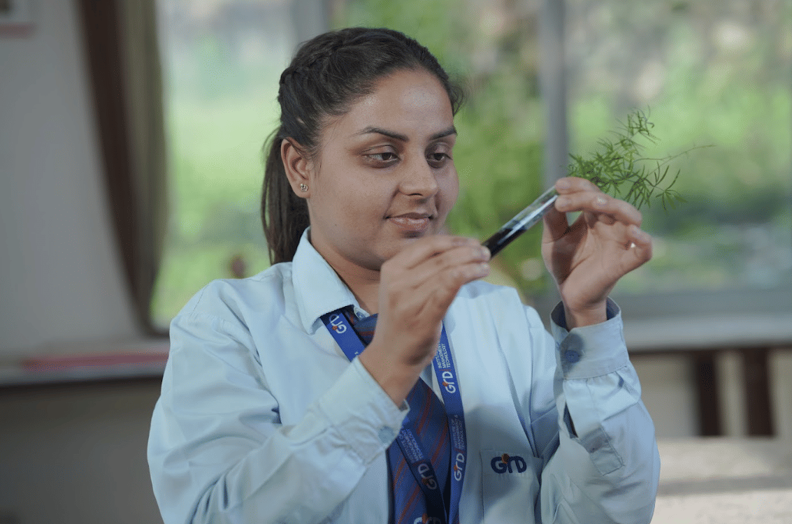 GRD IMT Programs photo 38